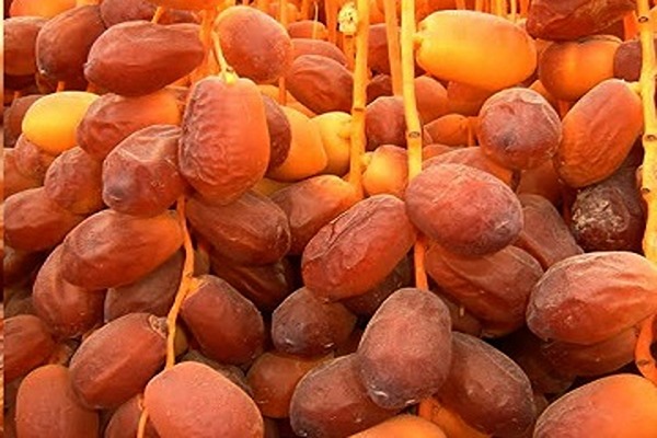تصویر 4 از قیمت خرما پیارم کرمان با کیفیت ارزان + خرید عمده