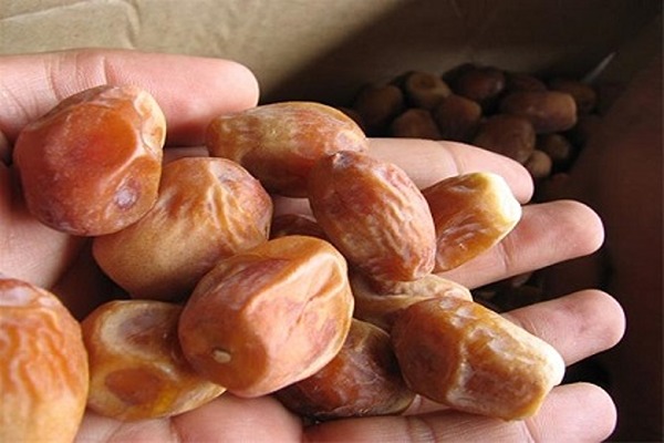 تصویر 4 از خرید و قیمت خرما پیارم کله چین + فروش عمده