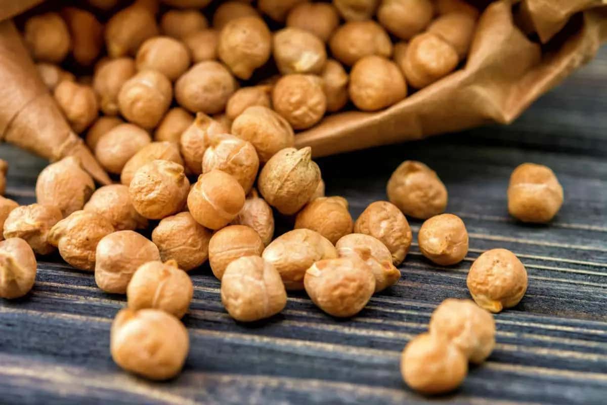 تصویر 5 از فروش نخود سفید آبگوشتی + قیمت خرید به صرفه