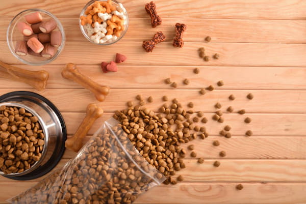 تصویر 4 از خرید خوراک جونیور نژاد بزرگ + قیمت فروش استثنایی
