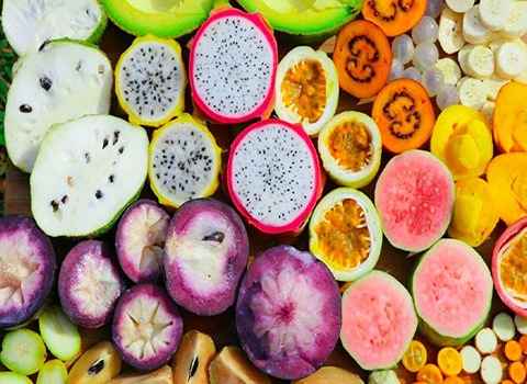 تصویر 5 از قیمت خرید حبه میوه استوایی + فروش ویژه