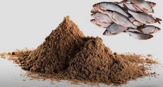 تصویر 1 از قیمت خرید پودر ماهی پرشین چابهار با فروش عمده