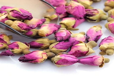 تصویر 4 از قیمت گل محمدی هلندی با فروش عمده