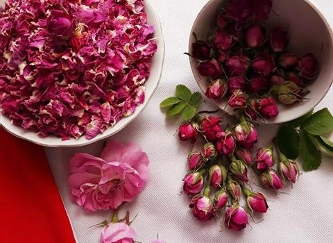 تصویر 2 از خرید گل محمدی صورتی پررنگ + قیمت فروش استثنایی