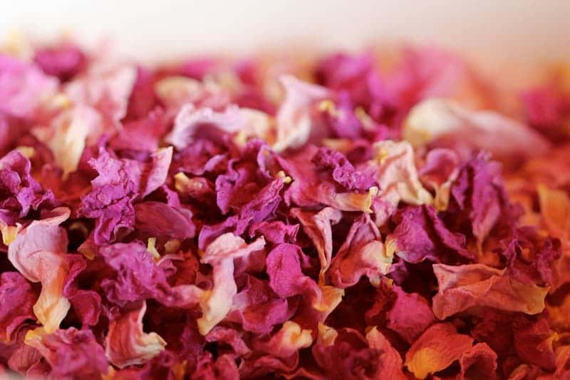 تصویر 3 از خرید گل محمدی کاشان + قیمت فروش استثنایی