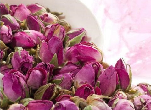 تصویر 4 از قیمت خرید گل محمدی دیم داراب با فروش ویژه