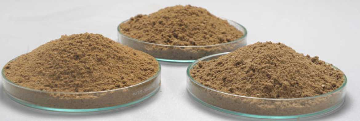 تصویر 1 از خرید و قیمت پودر ماهی + فروش عمده