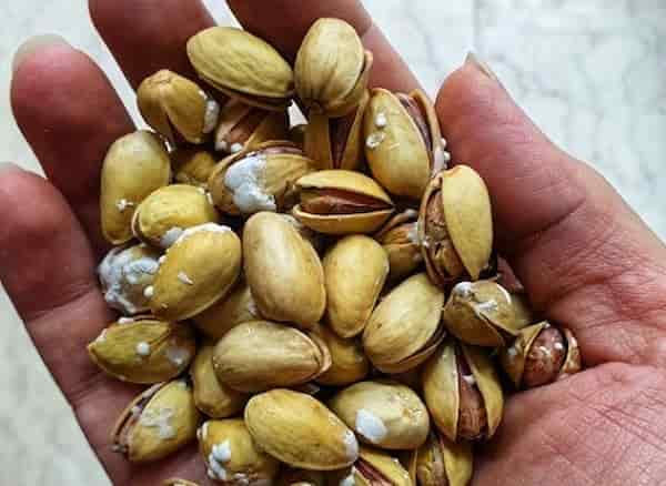 تصویر 1 از خرید و فروش پسته درجه یک احمد آقایی با شرایط فوق العاده
