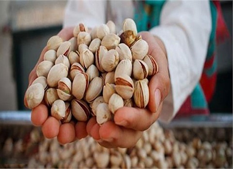 تصویر 1 از قیمت خرید پسته خندان احمد آقایی با فروش عمده