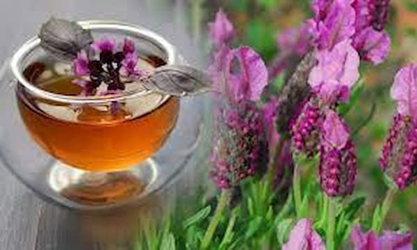 تصویر 2 از فروش عسل موم دار اصل + قیمت خرید به صرفه