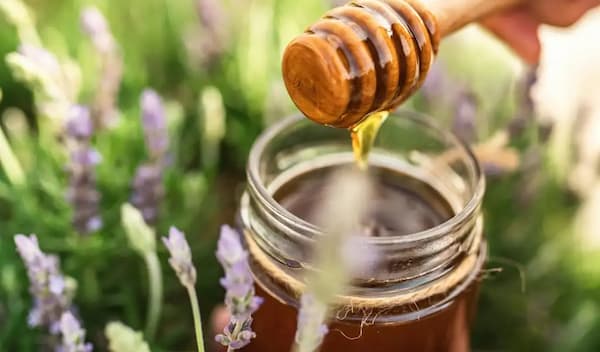 فروش ژل رویال غذای ملکه به قیمت عمده و استثنایی