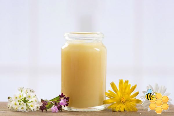 تصویر 2 از خرید ژل رویال فرانسوی + قیمت فروش استثنایی