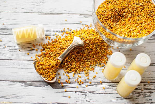 تصویر 1 از خرید ژل رویال فرانسوی + قیمت فروش استثنایی