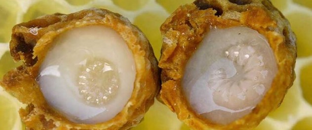 تصویر 2 از قیمت ژل رویال شیشه ای + خرید باور نکردنی