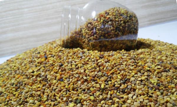 تصویر 1 از فروش گرده گل کوهستان + قیمت خرید به صرفه