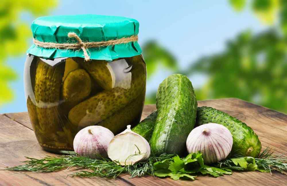 تصویر 3 از قیمت خرید خیارشور ویژه دبه ای با فروش عمده
