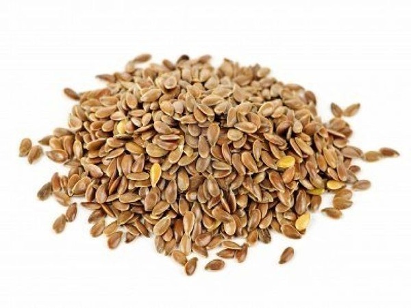 تصویر 3 از فروش تخم کتان سفید + قیمت خرید به صرفه