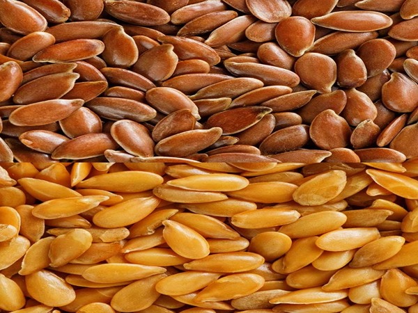 تصویر 2 از فروش تخم کتان سفید + قیمت خرید به صرفه