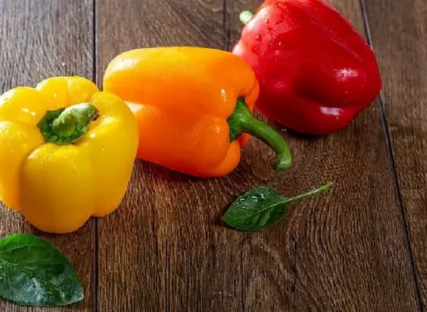 تصویر 3 از خرید و قیمت فلفل دلمه ای تزیینی + فروش عمده
