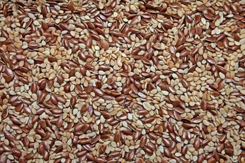 تصویر 5 از قیمت خرید تخم کتان صادراتی با فروش عمده