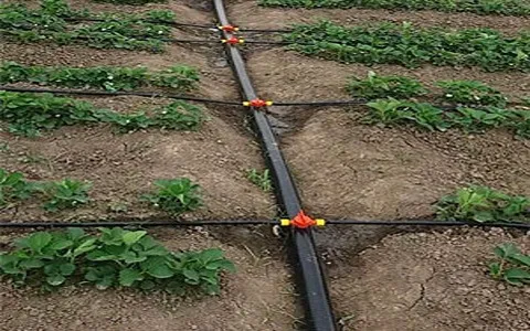 تصویر 1 از خرید لوله پلی اتیلن آبیاری قطره ای + قیمت فروش استثنایی