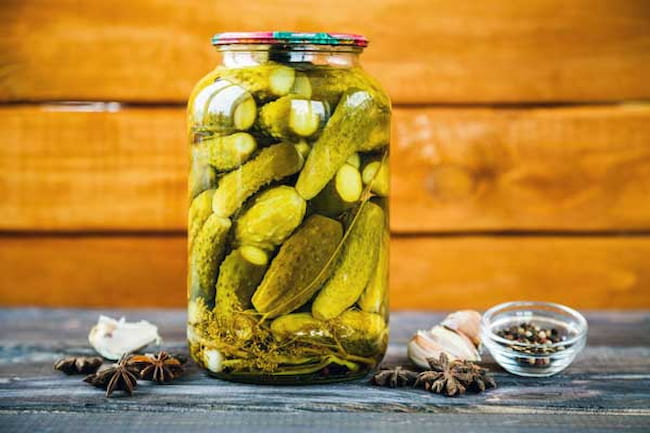 تصویر 2 از فروش خیارشور حلب عمده + قیمت خرید به صرفه