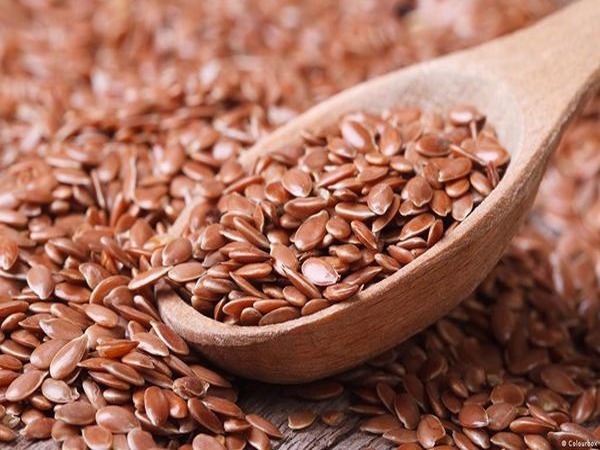 تصویر 5 از فروش تخم کتان خام + قیمت خرید به صرفه