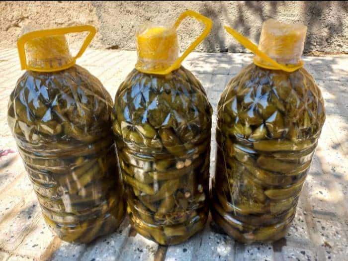 تصویر 3 از خرید خیارشور جا نوشابه ای + قیمت فروش استثنایی