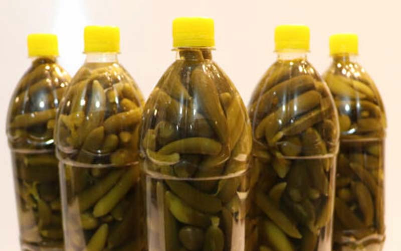 تصویر 4 از خرید خیارشور جا نوشابه ای + قیمت فروش استثنایی