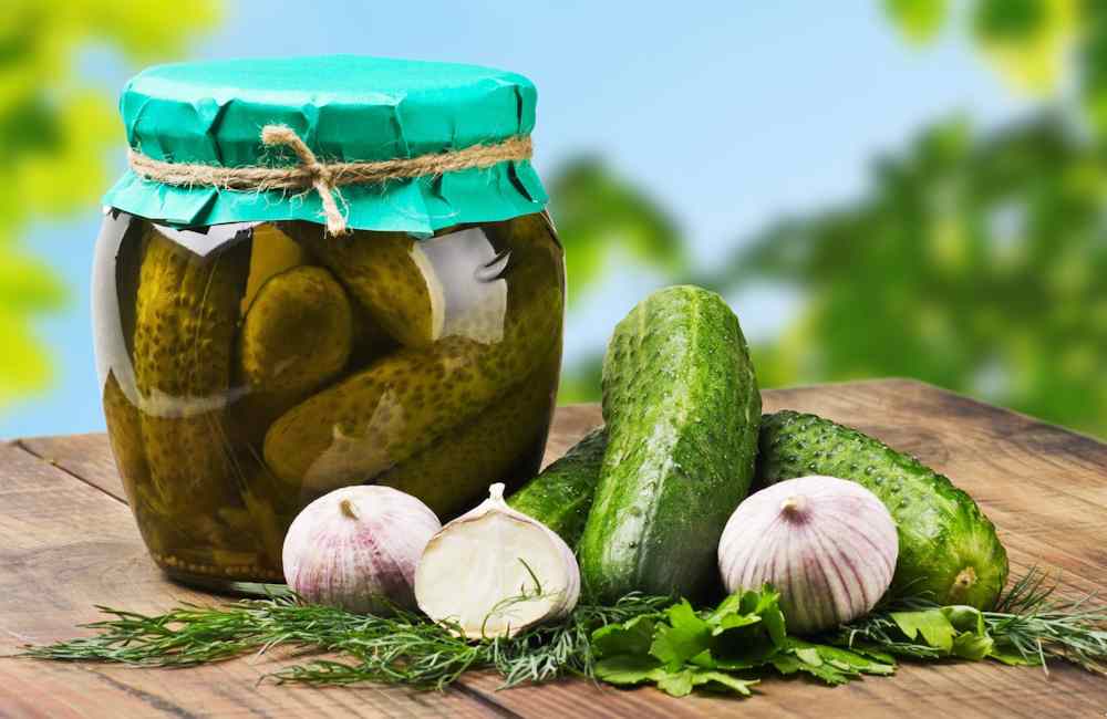 تصویر 5 از خرید خیارشور جا نوشابه ای + قیمت فروش استثنایی