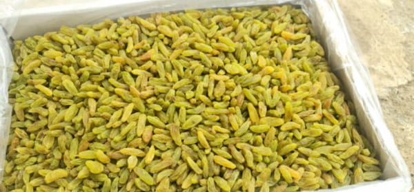 تصویر 4 از خرید کشمش سبز صادراتی + قیمت فروش استثنایی