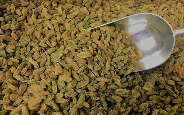 تصویر 5 از خرید کشمش سبز صادراتی + قیمت فروش استثنایی