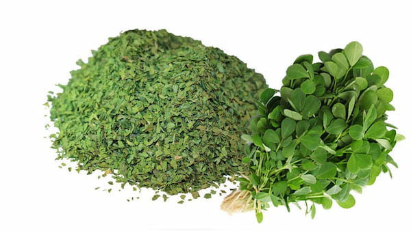 تصویر 5 از خرید سبزی شنبلیله خشک + قیمت فروش استثنایی
