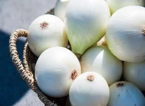 تصویر 5 از خرید پیاز سفید درجه یک + قیمت فروش استثنایی