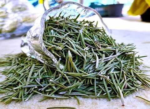 تصویر 3 از خرید سبزی خشک رزماری + قیمت فروش استثنایی