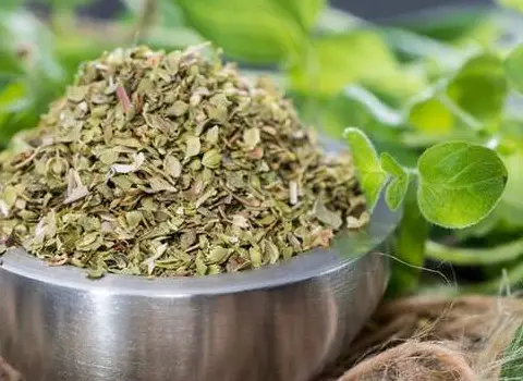 تصویر 1 از فروش سبزی خشک آویشن + قیمت خرید به صرفه