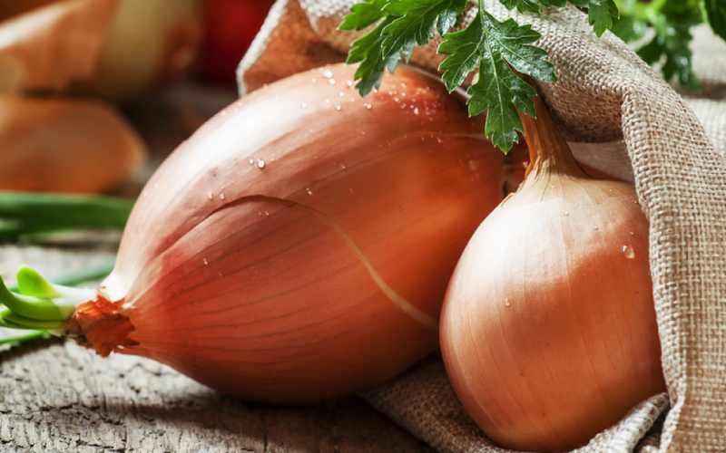تصویر 2 از قیمت خرید پیاز زرد زرگان با فروش عمده