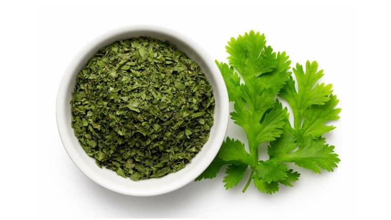 تصویر 3 از قیمت خرید سبزی گشنیز خشک + فروش ویژه