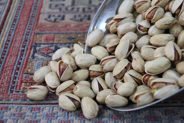 تصویر 5 از قیمت پسته کله قوچی دامغان + خرید باور نکردنی