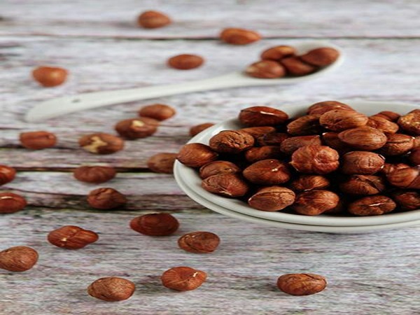 تصویر 4 از خرید مغز فندق شور + قیمت فروش استثنایی