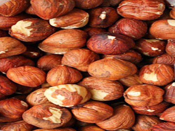 تصویر 3 از خرید مغز فندق شور + قیمت فروش استثنایی