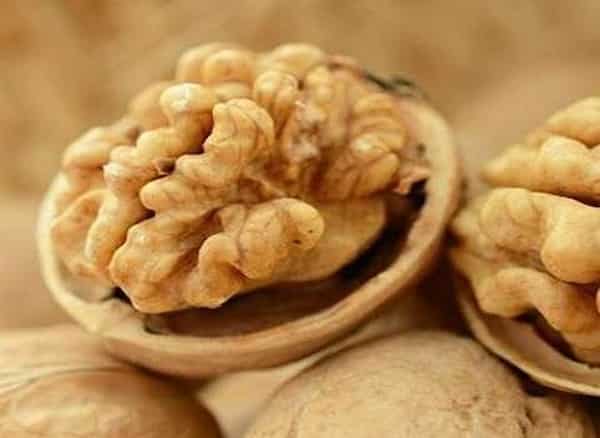تصویر 5 از قیمت خرید گردو پوست کاغذی چینی با فروش عمده