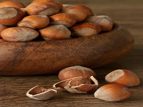 تصویر 5 از قیمت مغز فندق درجه یک + خرید باور نکردنی
