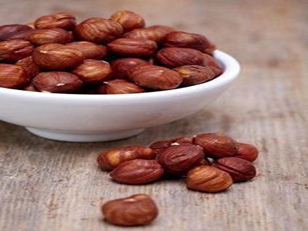 تصویر 2 از قیمت مغز فندق درجه یک + خرید باور نکردنی