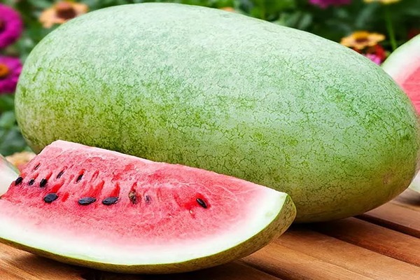 تصویر 1 از فروش هندوانه آرژانتینی + قیمت خرید به صرفه