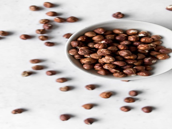 تصویر 1 از خرید مغز فندق عمده + قیمت فروش استثنایی