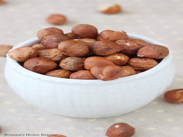 تصویر 3 از خرید مغز فندق عمده + قیمت فروش استثنایی