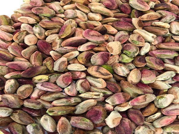 تصویر 1 از قیمت مغز پسته صادراتی با کیفیت ارزان + خرید عمده