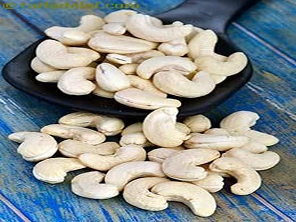 تصویر 3 از فروش بادام هندی لوکس + قیمت خرید به صرفه