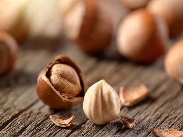 تصویر 3 از قیمت مغز فندق ایرانی + خرید باور نکردنی